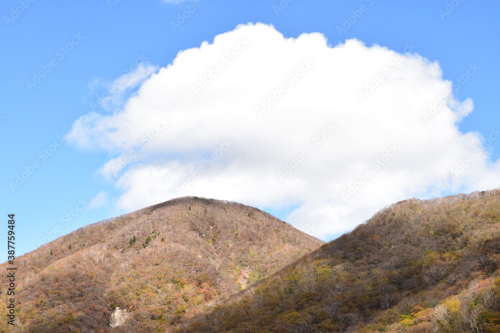 Fototapeta premium 山