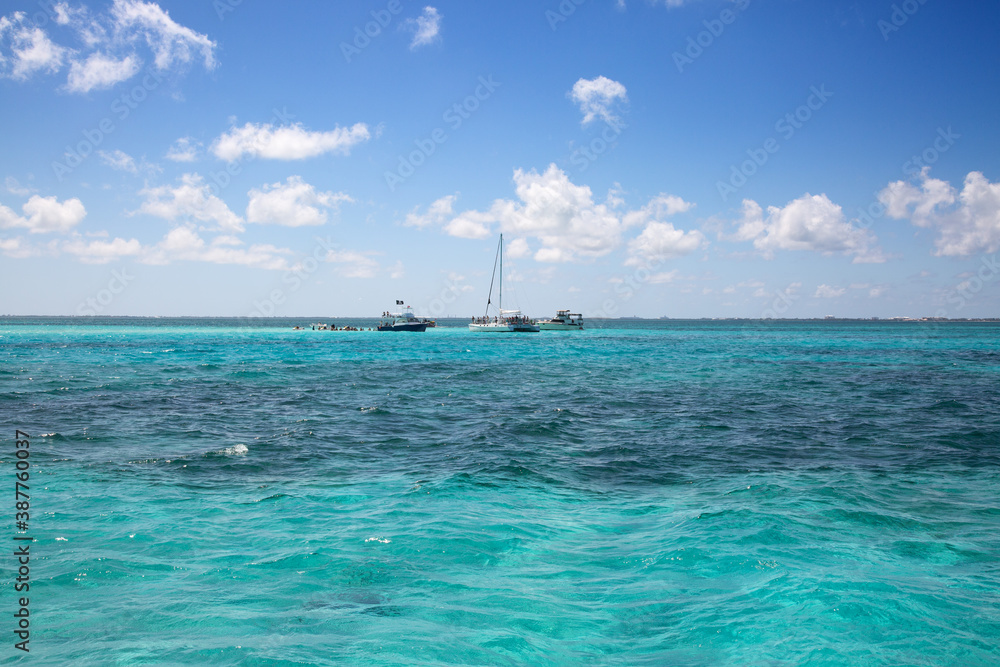 Stingray city Stingray city