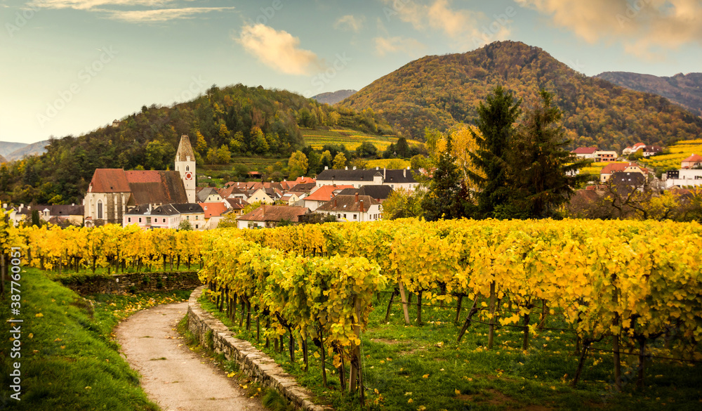 Famous vineyards in Wachau valley, Spitz, Lower Austria.