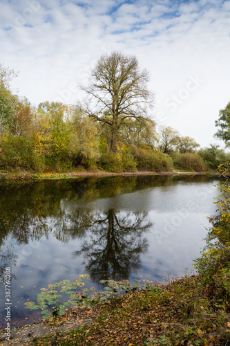 Autumn landscape  lake shore  trees with yellowed leaves  sky and clouds