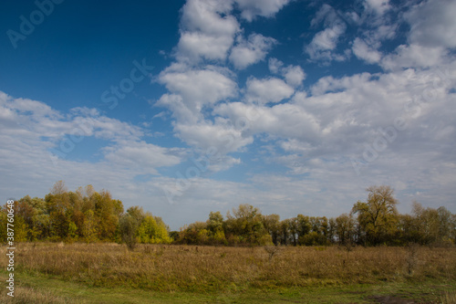 Beautiful sky with clouds, meadow and forest in the distance. autumn landscape on the banks of the Desna river in Ukraine