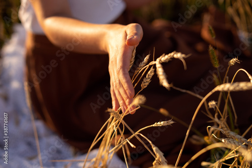 hand holding wheat