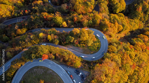 いろは坂　空撮