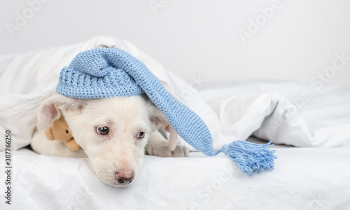 Sad puppy wearing warm hat hugs favorite toy bear under white blanket at home. Empty space for text