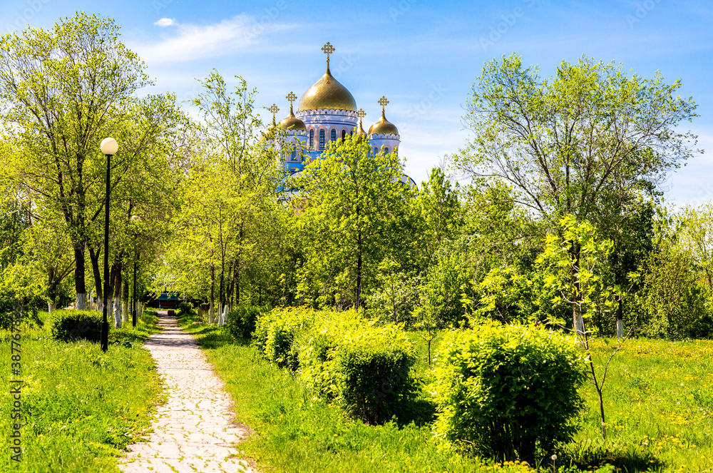 Golden domes of church among the trees