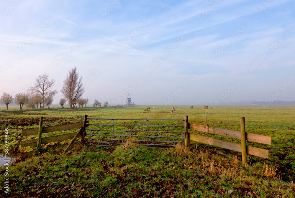 Fototapeta premium The Alblasserwaard is a polder in the province of South Holland, Netherlands. It is mainly known for the windmills of Kinderdijk, but there is more.