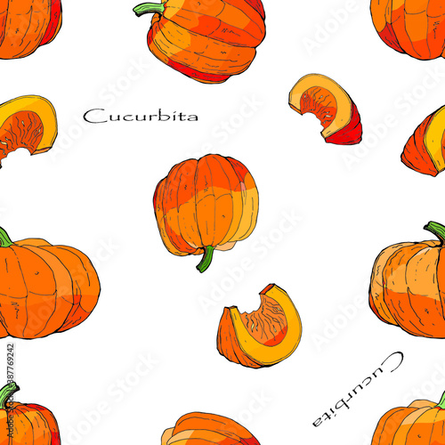 seamless background with bright holiday pumpkins for design. doodles