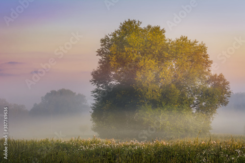 misty sunrise over fields and meadows
