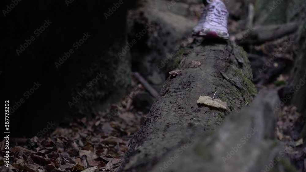 Woman tourist walks on a log in the forest, legs in sports shoes close-up Woman tourist walks on a log in the forest, legs in sports shoes close-up