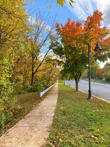 Autumn strolls in suburban Maryland