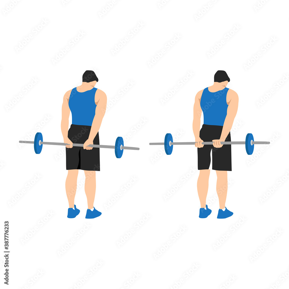 behind the back standing bicep curl infographic art. flat vector illustration simple design