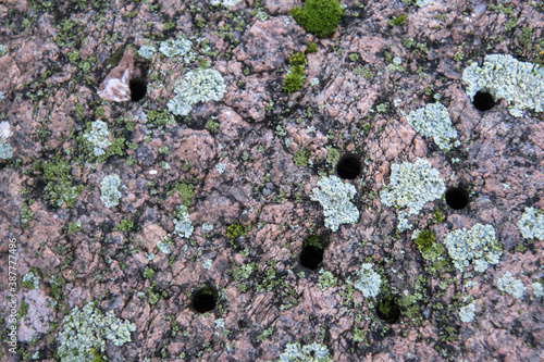 Granite stone surface covered in moss.