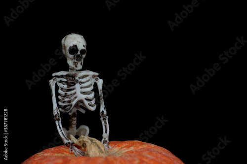 halloween concept - human skeleton near a pumpkin against black background. Halloween holidays celebration. Spooky decorations photo