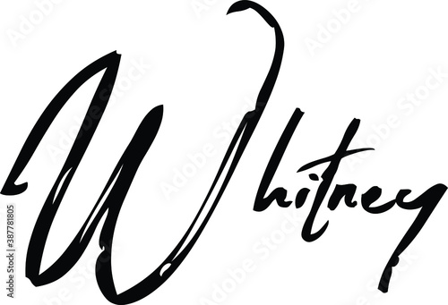Whitney-Female Name Modern Cursive Brush Calligraphy on White Background photo
