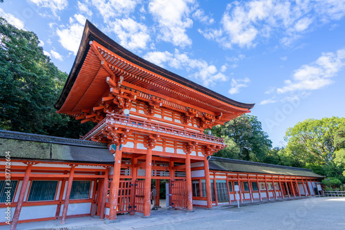 下鴨神社 photo