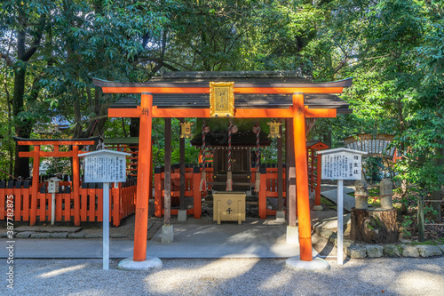 下鴨神社 photo