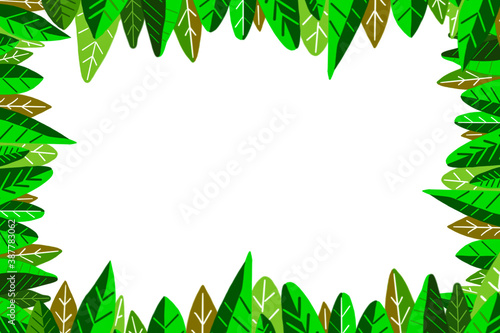 Drawing leaves photo frame on white background