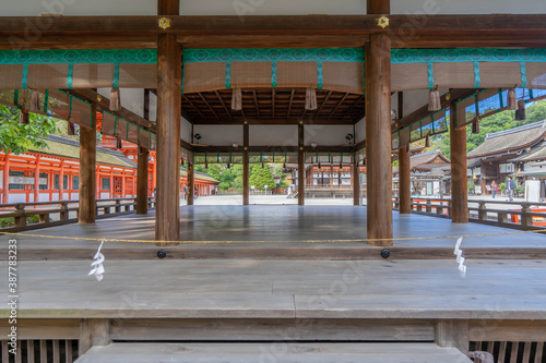 下鴨神社 photo