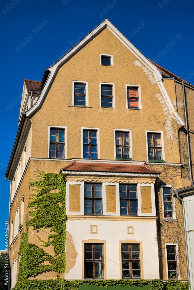 Fototapeta premium halle saale, deutschland - sanierter altbau mit efeu