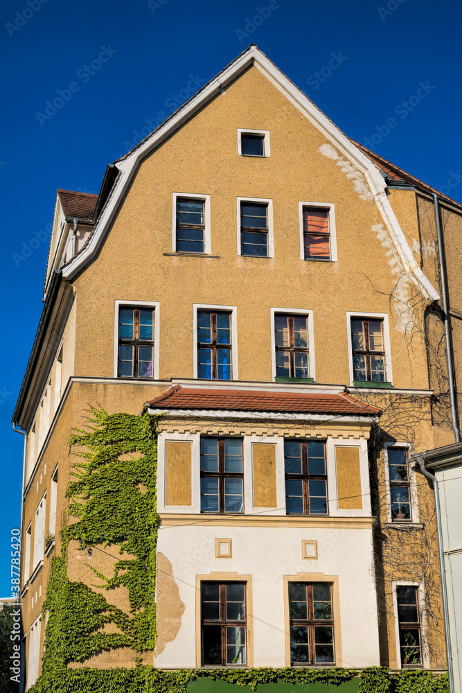 halle saale, deutschland - sanierter altbau mit efeu