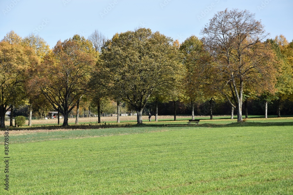 Spazierweg Spazierweg
