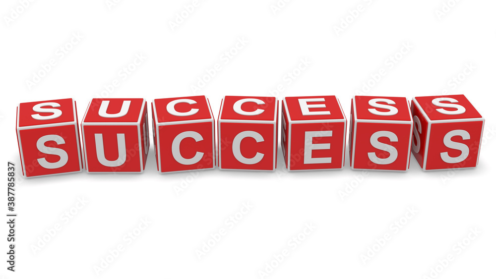 Success