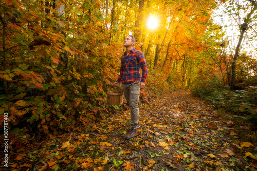 Man walking in a forest during autumn season with a basket and sunlight shining behind the trees