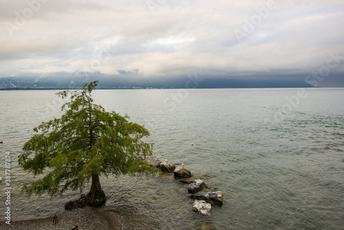 the geneva lake in Vevey, Switzerland