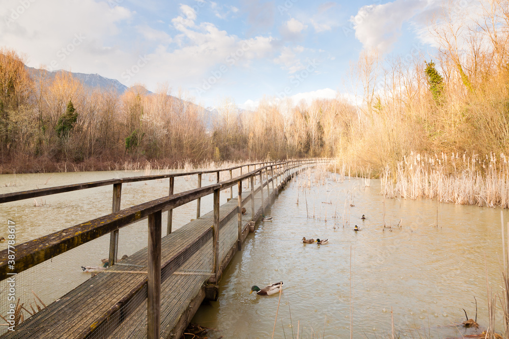 Old wood footbridge on lagoon, rural landscape Old wood footbridge on lagoon, rural landscape