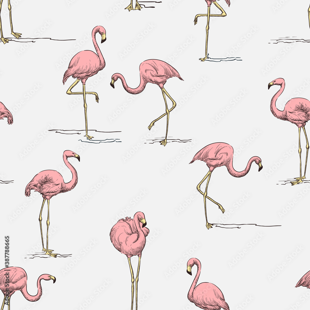 Fototapeta premium Tropical seamless pattern. Pink flamingo on white background. Vector color hand drawn sketch illustration.