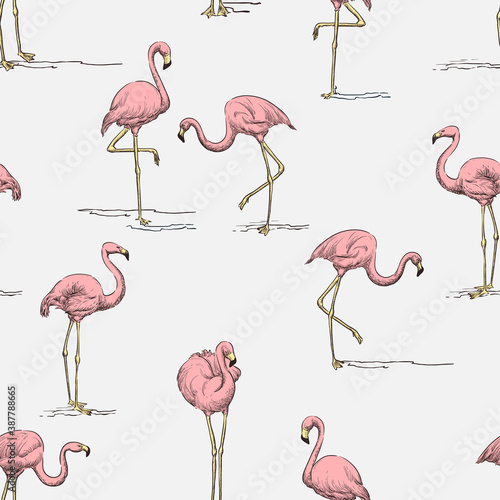 Tropical seamless pattern. Pink flamingo on white background. Vector color hand drawn sketch illustration.