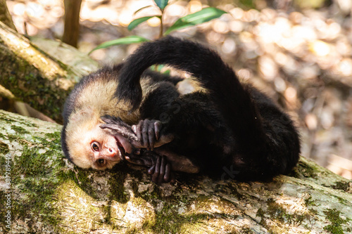 The overwhelming beauty of the flora and fauna of Costa Rica. Photos taken during a tour through this beautiful country  