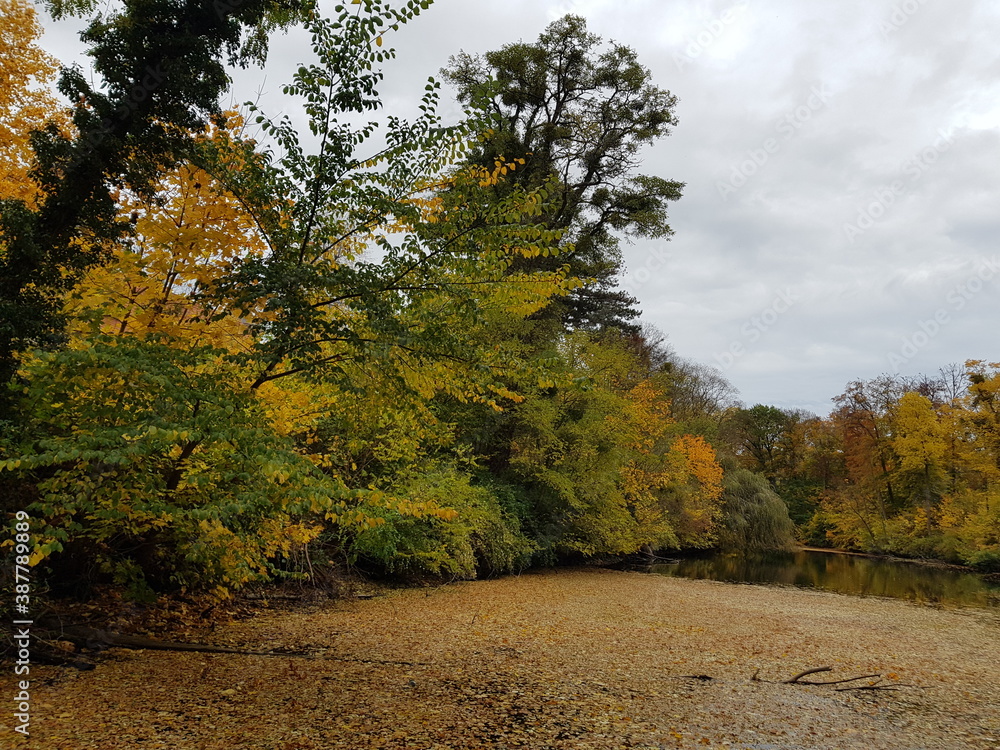 autumn in the forest,see, wasser, natur, landschaft, wald, baum, herbst, fluss, baum, green, himmel, teich, park, sommer, blau, holz, fall, ausserhalb, schönheit, bach, schön, frühling, gelb, gras