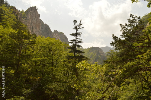 Hiking in the colorful and beautiful Seoraksan Mountains outside of Sokcho in South Korea, Asia