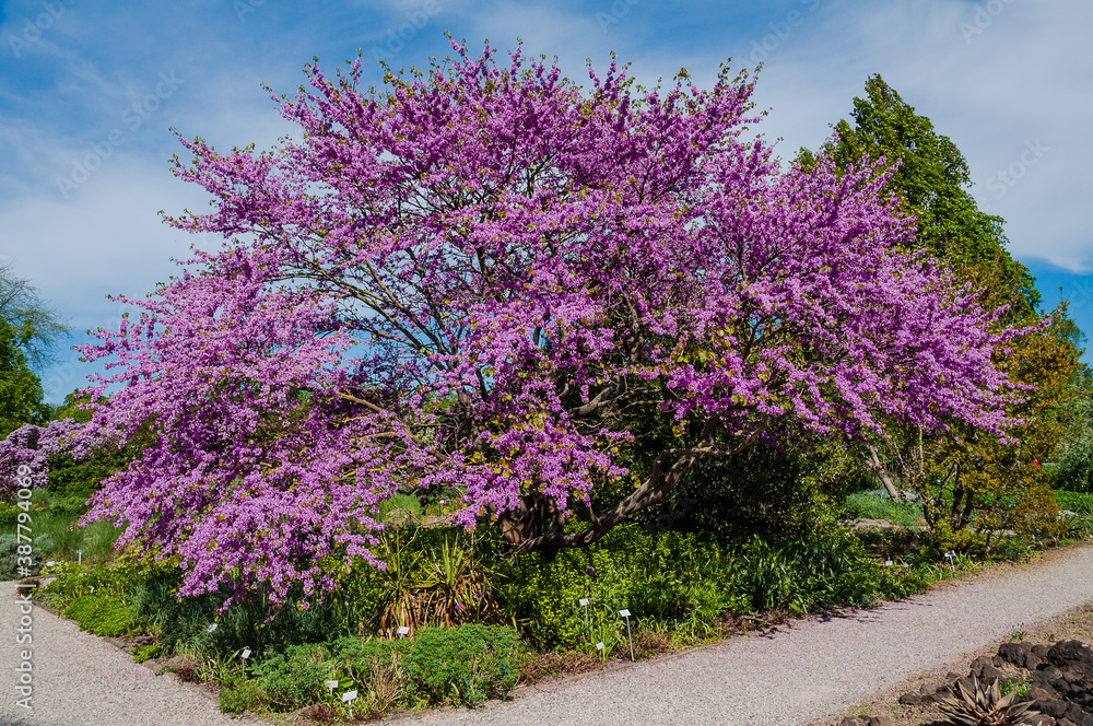 Berggarten Hannover