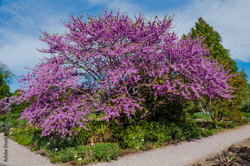 Berggarten Hannover