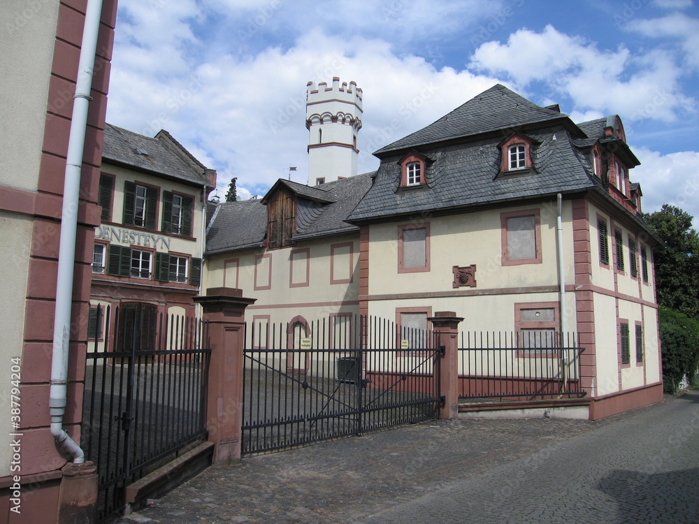Adelshof Schloss Ritter von Groenesteyn in Rüdesheim am Rhein im