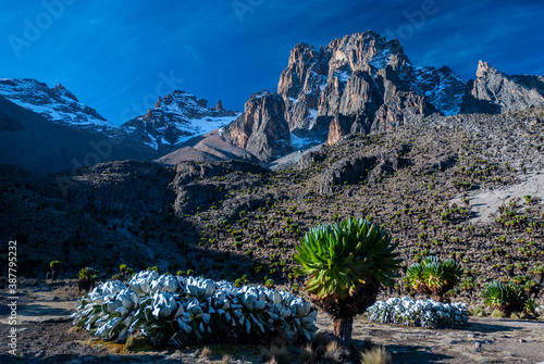 mt. Kenya national park photo