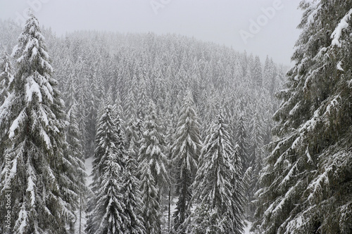 Winterwonderland, Sextner Dolomiten