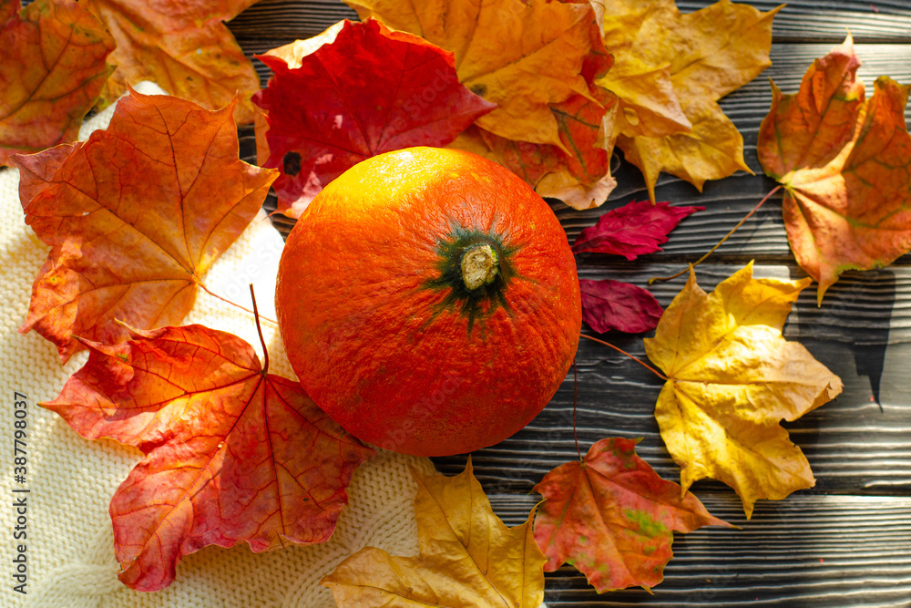 Orange natural round pumpkin on a wooden table with fallen yellow and red maple leaves. Warm autumn atmosphere, thanksgiving, harvest festival, Halloween. Copy space. Orange natural round pumpkin on a wooden table with fallen yellow and red maple leaves. Warm autumn atmosphere, thanksgiving, harvest festival, Halloween. Copy space.