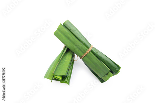 Thai herbal  Fresh green Pandan leaves with water drops isolated on white background. Clipping path.