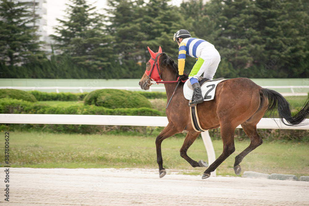 competitive horse racing in heavy sandstorm. competitive horse racing in heavy sandstorm.