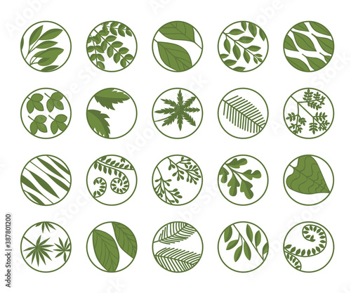 Set of twenty leaves in a circle. Green leaves. Set of logos, icons. Isolated on white background.