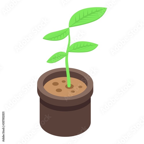 Indoor plant pot icon. Isometric of indoor plant pot vector icon for web design isolated on white background