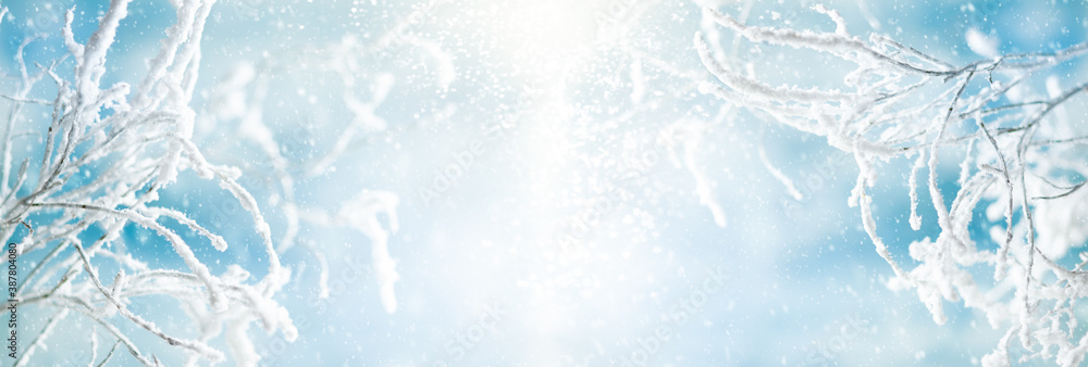 Fototapeta Zimowe tło z śnieżnymi i mrożonymi gałęziami drzew na tle błękitnego nieba. Koncepcja zima Boże Narodzenie lub nowy rok.