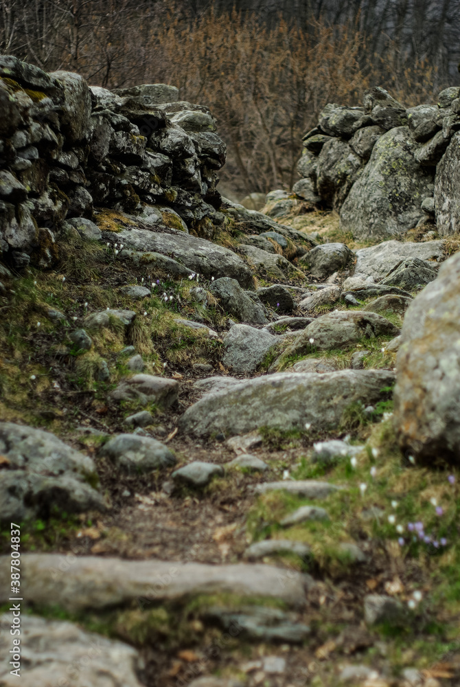 Mountain stone trail Mountain stone trail