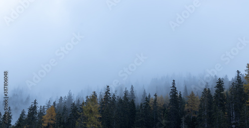 Nebliger Herbst, Dichter Nebel im Wald, Herbstwetter in den Alpen