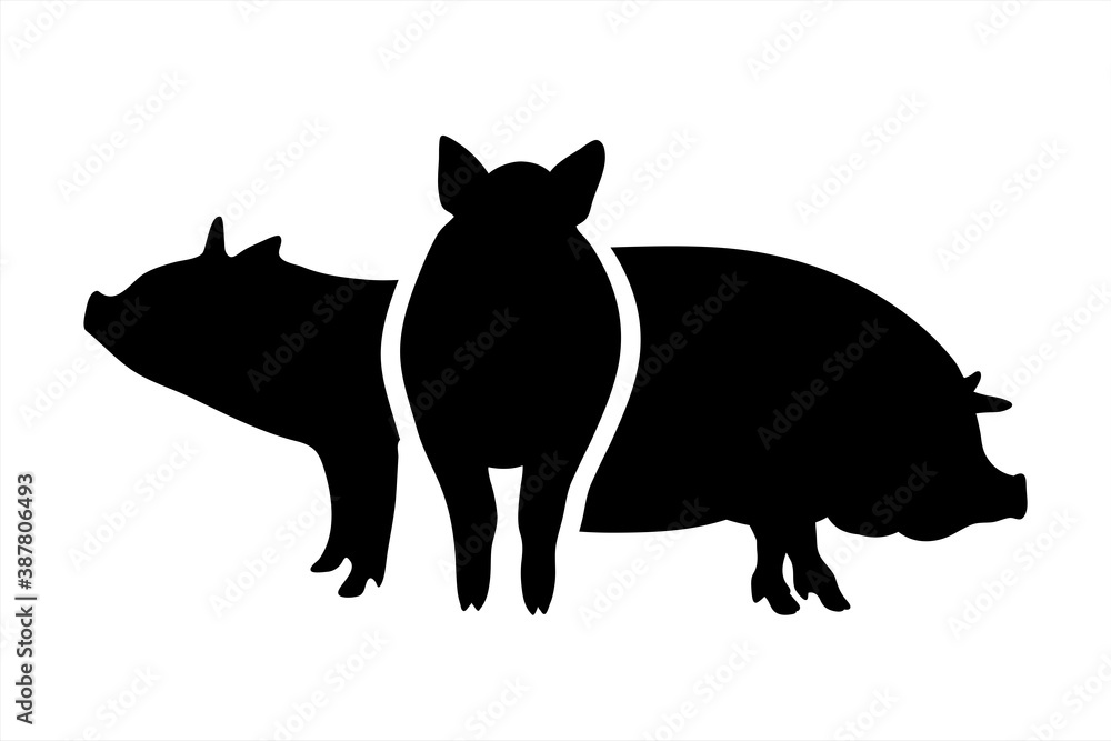 Vector silhouette of set of pigs on white background. Symbol of farm animals. Vector silhouette of set of pigs on white background. Symbol of farm animals.