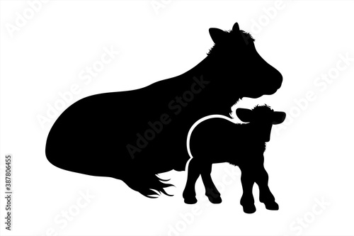 Vector silhouette of cow and calf on white background. Symbol of farm animal.