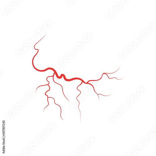 Human veins red blood vessel vector illustration isolated on white background.